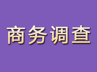 阳曲商务调查